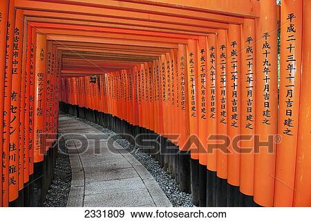 Japan, Red Columns Along Pathway; Kyoto View Large Photo Image Stock Photo - Japan, Red Columns Along Pathway; Kyoto. Fotosearch