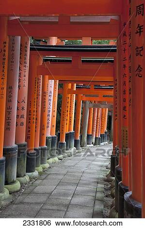 Japan, Red Columns Along Pathway; Kyoto View Large Photo Image Stock Photograph - Japan, Red Columns Along Pathway; Kyoto. Fotosearch