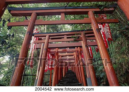 Japan, Tokyo Ueno Park Upward View Of Torii Gates, Stairs Surrounded By Greenery View Large Photo Image Stock Image - Japan, Tokyo Ueno Park Upward View Of Torii Gates, Stairs Surrounded By Greenery. Fotosearch