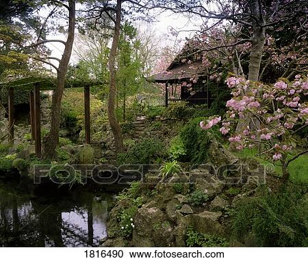 Japanese Gardens Co Kildare Ireland Pergola And Flowering