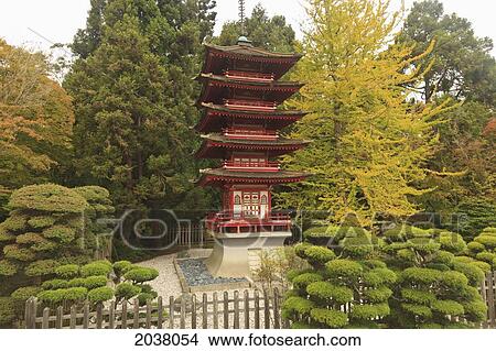 Japanese Tea Garden In Golden Gate Park; San Francisco California United States Of America View Large Photo Image Picture - Japanese Tea Garden In Golden Gate Park; San Francisco California United States Of America. Fotosearch