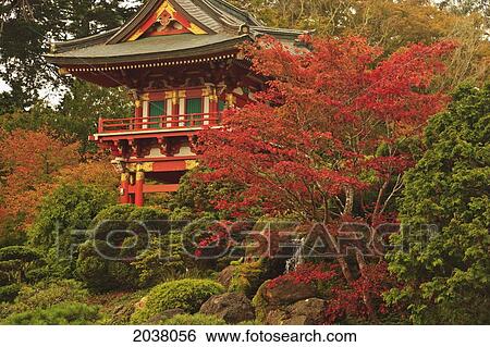 Stock Photograph - Japanese Tea Garden In Golden Gate Park; San Francisco California United States Of America. Fotosearch