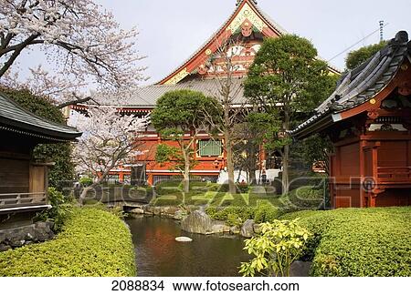 Picture - Japanese Temple Garden With Stream And Stone Bridge; Tokyo, Japan. Fotosearch