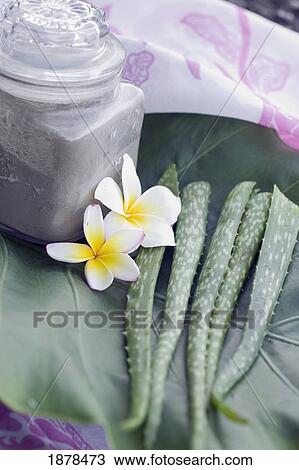 Jar With Mud Treatment Next To Flowers And Aloe Leaves View Large Photo Image Stock Image - Jar With Mud Treatment Next To Flowers And Aloe Leaves. Fotosearch