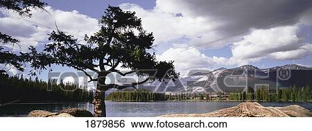 Stock Photograph - Jasper Park Lodge. Fotosearch
