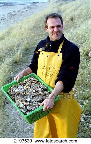 Stock Photo - Jean-Paul Juernier With Oyster In Agon Coutainville In La Manche, Normandy. One Out Of Four Opyster Eaten In France Comes From Normandy, France, Europe.. Fotosearch