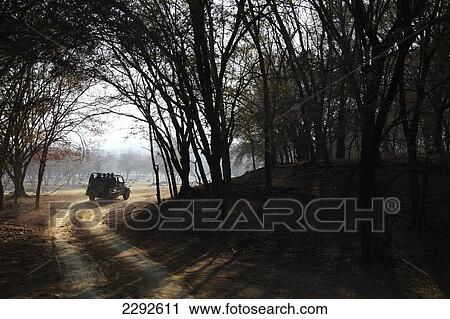 Jeep at Ranthambore Park Rajasthan India View Large Photo Image Stock Image - Jeep at Ranthambore Park Rajasthan India. Fotosearch