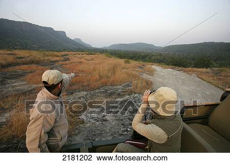 JEEP SAFARI IN BANDHAVGARH PARK MADHYA PRADESH INDIA View Large Photo Image Stock Image - JEEP SAFARI IN BANDHAVGARH PARK MADHYA PRADESH INDIA. Fotosearch