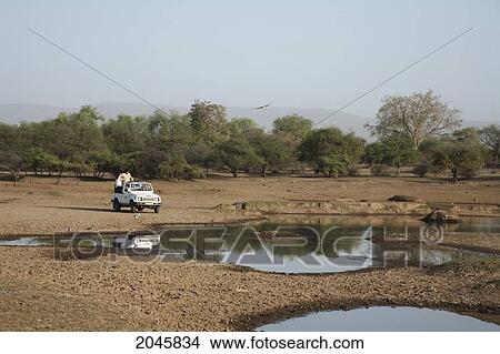 Picture - Jeep Safari In Sariska National Park, Rajasthan, India. Fotosearch