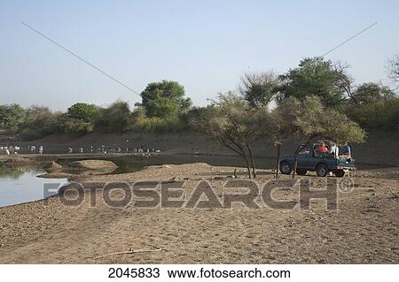 Stock Image - Jeep Safari In Sariska National Park, Rajasthan, India. Fotosearch