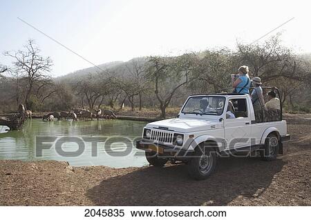 Jeep Safari In Sariska National Park, Rajasthan, India View Large Photo Image Stock Photography - Jeep Safari In Sariska National Park, Rajasthan, India. Fotosearch