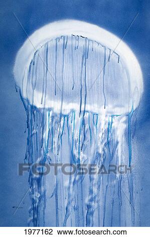Stock Image - Jellybean, Jellyfish On Blue Background (Watercolor On Yupo).. Fotosearch
