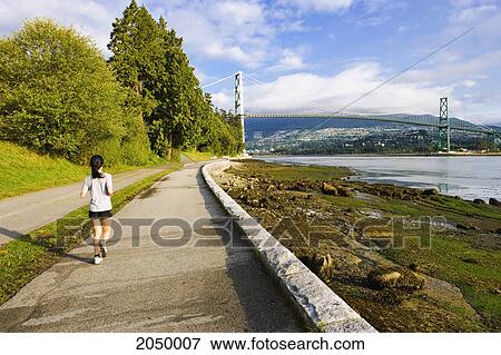 Jogger At Stanley Park With Lions Gate Bridge, Vancouver, British Columbia View Large Photo Image Stock Photo - Jogger At Stanley Park With Lions Gate Bridge, Vancouver, British Columbia. Fotosearch