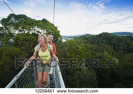 Jungle canopy walk at Ulu Temburong National Park; Brunei View Large Photo Image Stock Image - Jungle canopy walk at Ulu Temburong National Park; Brunei. Fotosearch