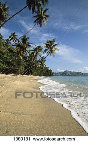 Kadavu Island Beach View Large Photo Image Stock Image - Kadavu Island Beach. Fotosearch