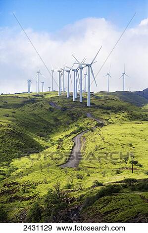 Stock Photo - Kaheawa Wind Power is one of the largest wind farms in Hawaii, located in Maui above Maalaea; Maui, Hawaii, United States of America. Fotosearch