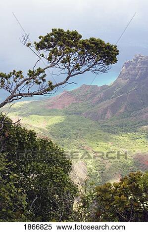 Stock Photography - Kalalau Valley, Na Pali Coast State Park, Kauai, Hawaii. Fotosearch
