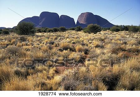 Picture - Kata Tjuta (The Olgas) In Shade And Grasslands. Fotosearch