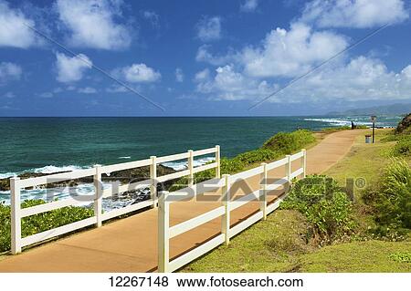 Kauai Coastal Bike Path; Kauai, Hawaii, United States of America View Large Photo Image Stock Photo - Kauai Coastal Bike Path; Kauai, Hawaii, United States of America. Fotosearch