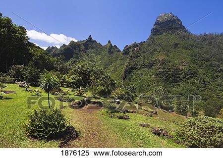 Stock Photography - Kauai, Hawaii, United States Of America; Open Park Area Of The Limahuli Garden Of The National Tropical Botanical Garden. Fotosearch