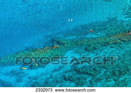 Kayakers and stand up paddleboarders over tropical reef; Makena, Maui, Hawaii, United States of America View Large Photo Image Stock Image - Kayakers and stand up paddleboarders over tropical reef; Makena, Maui, Hawaii, United States of America. Fotosearch