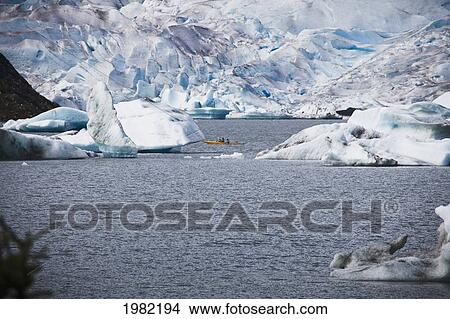 Picture - Kayakers In Mendenhall Bay; Juneau Alaska United States Of America. Fotosearch