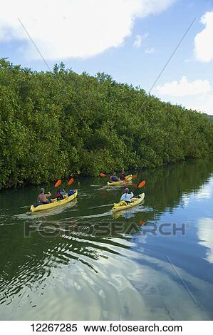 Kayaking on Hanalei River; Kauai, Hawaii, United States of America View Large Photo Image Stock Photography - Kayaking on Hanalei River; Kauai, Hawaii, United States of America. Fotosearch