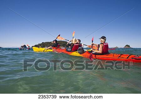 Stock Photo - Kayaking On The Coromandel Peninsula; Hahei, New Zealand. Fotosearch