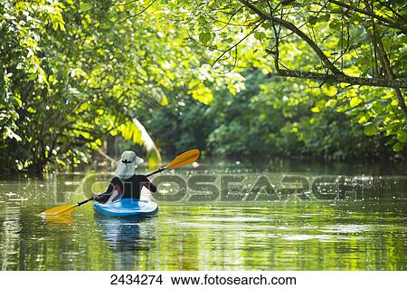 Kayaking up the Faaroa River; Raiatea, French Polynesia View Large Photo Image Picture - Kayaking up the Faaroa River; Raiatea, French Polynesia. Fotosearch