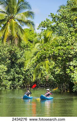 Stock Photograph - Kayaking up the Faaroa River; Raiatea, French Polynesia. Fotosearch