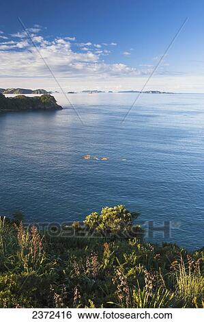 Kayaks In Coromandel Peninsula; New Zealand View Large Photo Image Stock Photograph - Kayaks In Coromandel Peninsula; New Zealand. Fotosearch