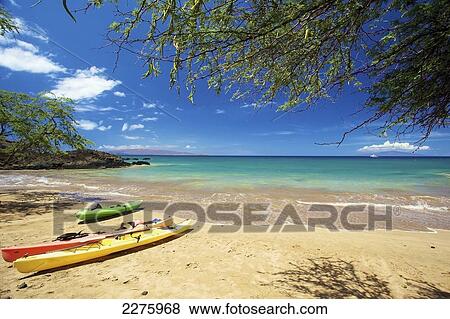 Stock Photo - Kayaks on the beach of an hawaiian island; Hawaii, United States of America. Fotosearch