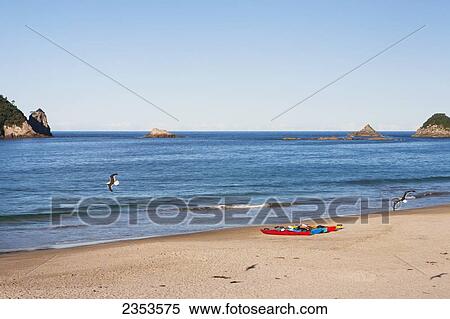 Kayaks Sitting On Hahei Beach On The Coromandel Peninsula; Hahei, New Zealand View Large Photo Image Stock Photography - Kayaks Sitting On Hahei Beach On The Coromandel Peninsula; Hahei, New Zealand. Fotosearch