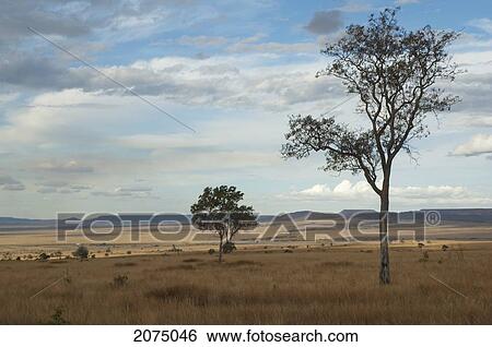 Keliambahatsy Plateau, Fianarantsoa Province, Madagascar View Large Photo Image Stock Photograph - Keliambahatsy Plateau, Fianarantsoa Province, Madagascar. Fotosearch