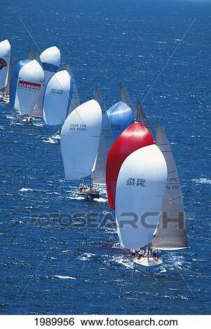 Kenwood Cup, Many Racing Sailboats, Red White And Blue Spinnakers View Large Photo Image Stock Photograph - Kenwood Cup, Many Racing Sailboats, Red White And Blue Spinnakers. Fotosearch