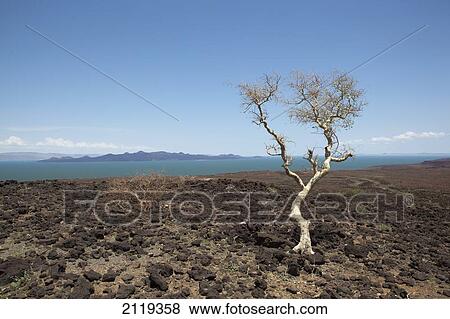 Stock Photo - Kenya, Barren scenery around Loyangalani; Lake Turkana. Fotosearch