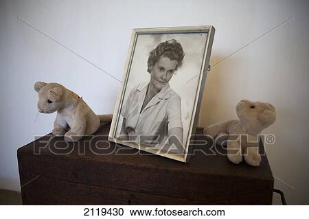 Stock Image - Kenya, Details around Joy's Camp; Shaba National Reserve. Fotosearch
