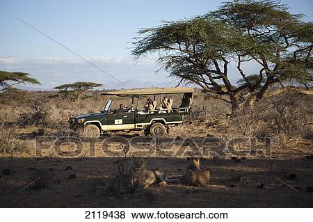 Stock Photo - Kenya, Guests on Jeep safari at luxurious Joy's Camp; Shaba National Reserve. Fotosearch