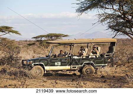 Kenya, Guests on Jeep safari at luxurious Joy's Camp; Shaba National Reserve View Large Photo Image Stock Photo - Kenya, Guests on Jeep safari at luxurious Joy's Camp; Shaba National Reserve. Fotosearch