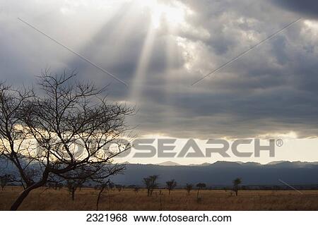 Stock Photo - Kenya, Maasai Mara, Sunlight breaking through clouds over Maasai Mara National Reserve. Fotosearch