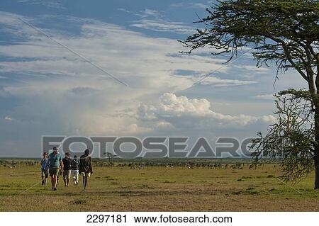 Stock Image - Kenya, People on walking safari with zebra and eland in background in Ol Pejeta Conservancy; Laikipia Country. Fotosearch