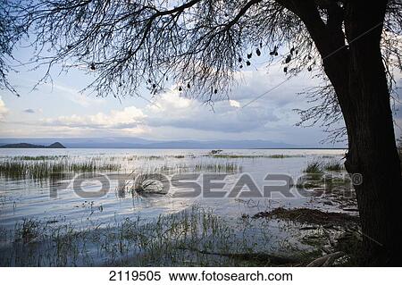 Stock Photography - Kenya, View of Lake Baringo; Rift Valley. Fotosearch
