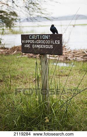 Picture - Kenya, Warning sign next to Lake Baringo; Rift Valley. Fotosearch