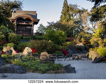 Picture - Kew Gardens Japanese garden in spring; London, England. Fotosearch