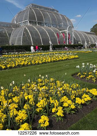 Kew Gardens Palm House in spring; London, England View Large Photo Image Stock Photograph - Kew Gardens Palm House in spring; London, England. Fotosearch