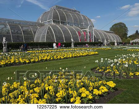 Kew Gardens Palm House in spring; London, England View Large Photo Image Stock Photography - Kew Gardens Palm House in spring; London, England. Fotosearch