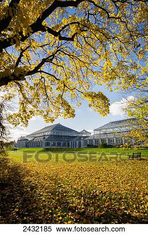 Kew Gardens Temperate House; London, England View Large Photo Image Stock Photography - Kew Gardens Temperate House; London, England. Fotosearch