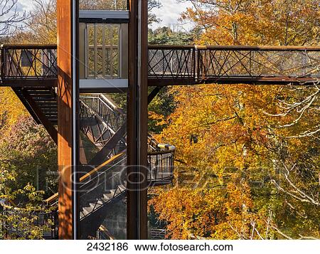 Kew Gardens treetop walkway; London, England View Large Photo Image Stock Photograph - Kew Gardens treetop walkway; London, England. Fotosearch