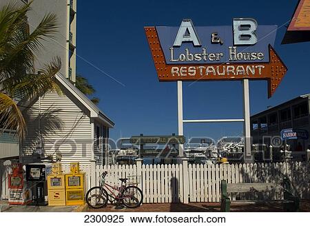 Key West Bight Marina and historic harbour, Florida Keys; Florida, United States of America View Large Photo Image Stock Photography - Key West Bight Marina and historic harbour, Florida Keys; Florida, United States of America. Fotosearch