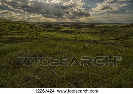 Killdeer Badlands, Grasslands National Park; Saskatchewan, Canada View Large Photo Image Picture - Killdeer Badlands, Grasslands National Park; Saskatchewan, Canada. Fotosearch